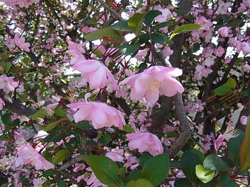 R0011631.JPG