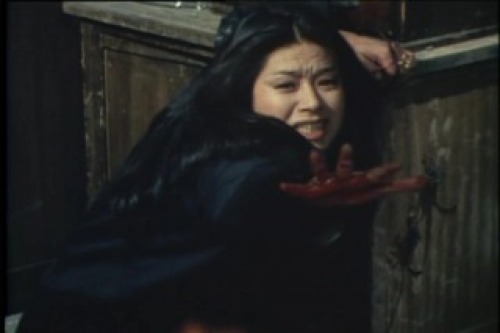 PDVD_178.jpg