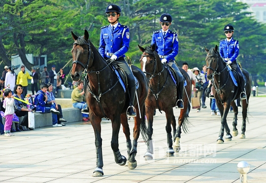 海外ドラマ「騎馬警官（due SOUTH）」ムック本（洋書）-