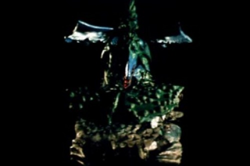 PDVD_009.jpg