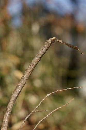 0211-1.jpg