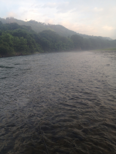 201208151601_6678_iphone.jpg