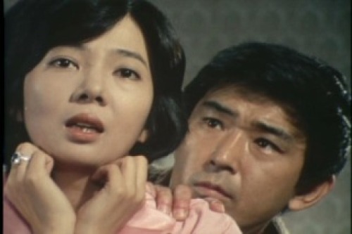PDVD_035.jpg