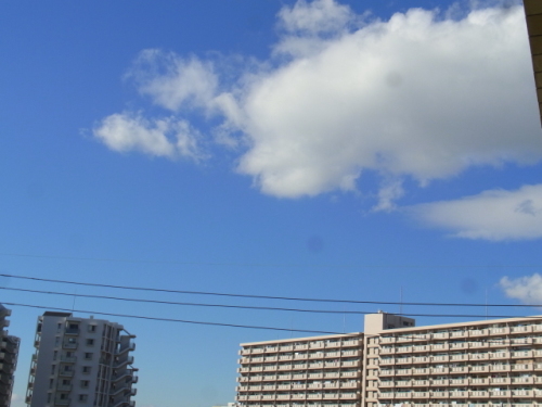 R0011012.JPG
