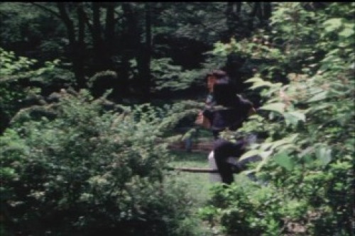 PDVD_011.jpg