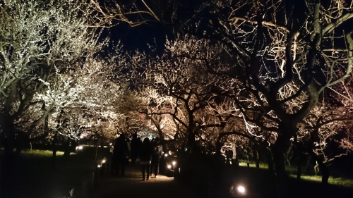CYMERA_20170323_180031.jpg