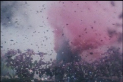 PDVD_048.jpg