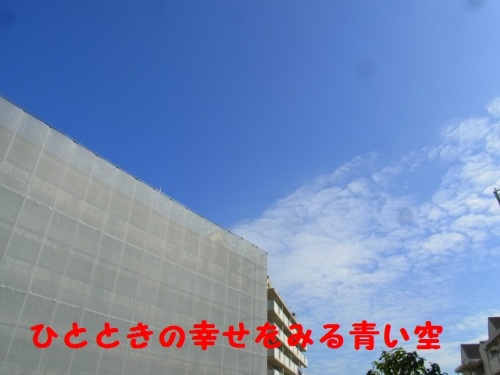 R0012195.JPG