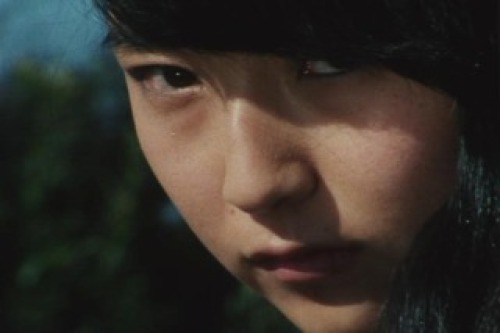 PDVD_003.jpg