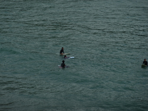 P1010440.JPG