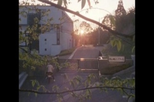 PDVD_036.jpg