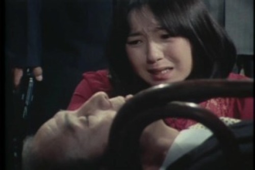 PDVD_194.jpg
