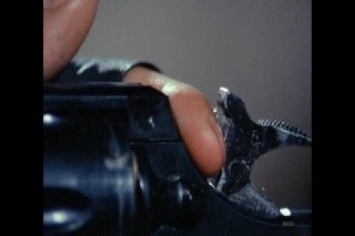PDVD_031.jpg