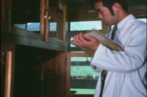 PDVD_015.jpg