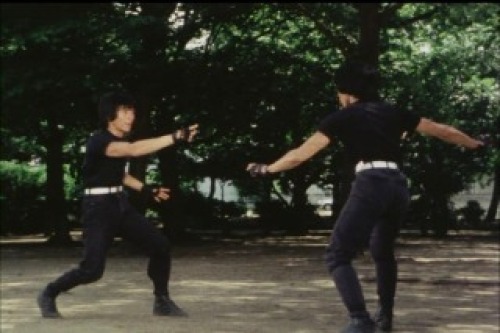 PDVD_036.jpg