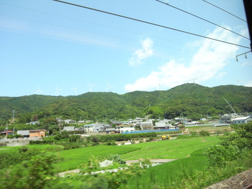 RIMG0081.JPG
