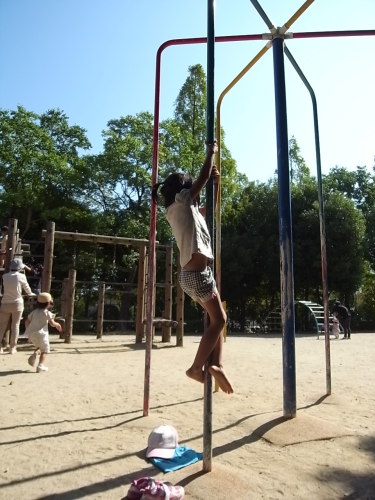 RIMG0239.JPG