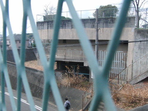 CIMG9060.JPG