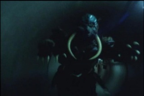 PDVD_009.jpg