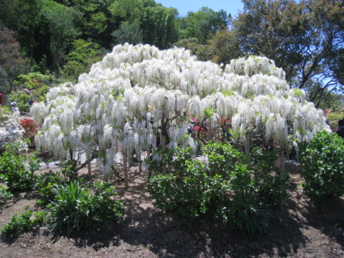 2013_0502_122755-IMG_1802.JPG