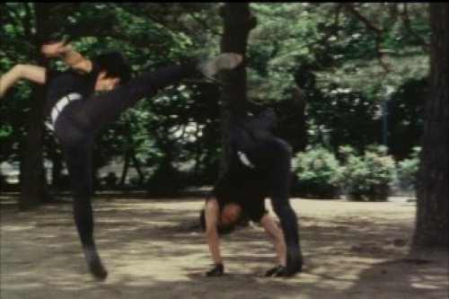 PDVD_038.jpg