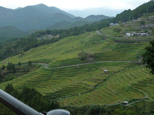 P1010447.JPG