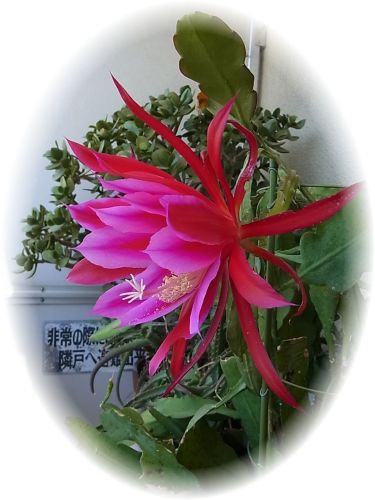 R0011965@.jpg