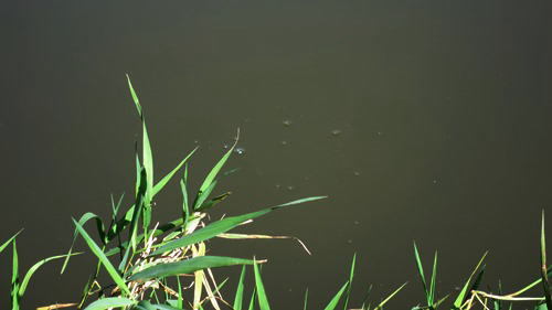 400-e.JPG