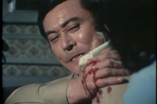 PDVD_023.jpg