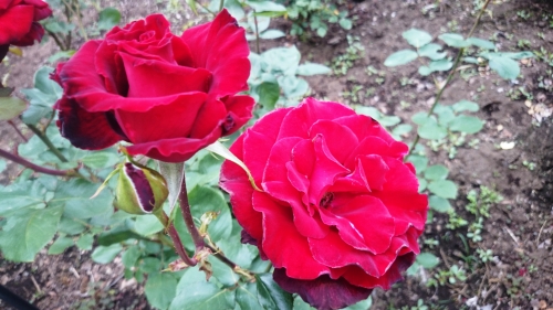 CYMERA_20160611_080300.jpg