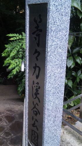 DVC00005.JPG