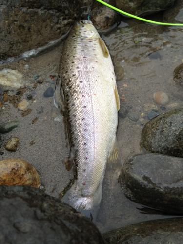 201206200020_6208_iphone.jpg