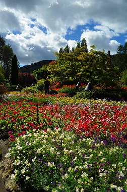 カナダ・バンクーバー】ヴィクトリアＮｏ，１のお花畑！ブッチャートガーデンでお花まみれ！ その２ | もっちゃんサイト ちびつこたちと旅をしよう！ -  楽天ブログ