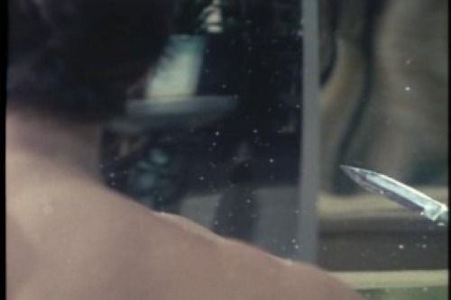 PDVD_102.jpg