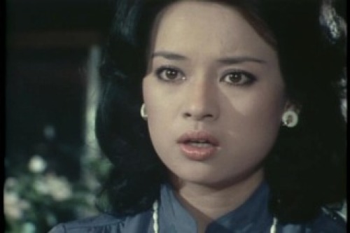 PDVD_004.jpg