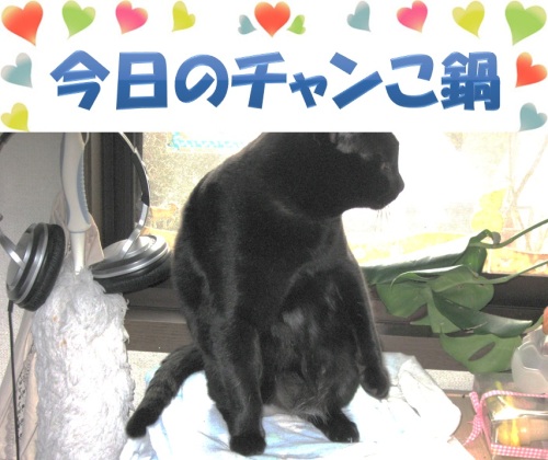 チャンギャラリー.jpg