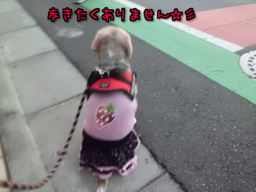 PikJRpREQ7QfCjW1357087942_1357088027.jpg