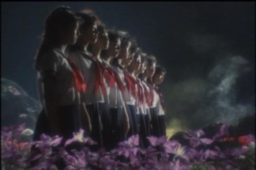PDVD_032.jpg