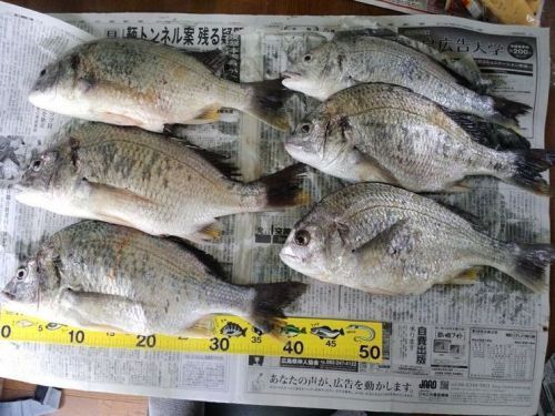 2012-7-1-2_R(V.2012_07_11__12_12_46).jpg