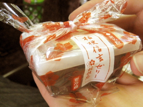 桔梗信玄餅ゼリー.jpg