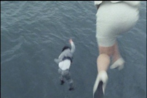 PDVD_022.jpg