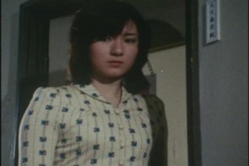 PDVD_021.jpg