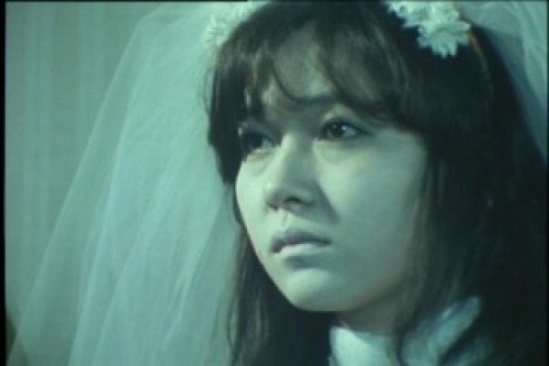 PDVD_041.jpg