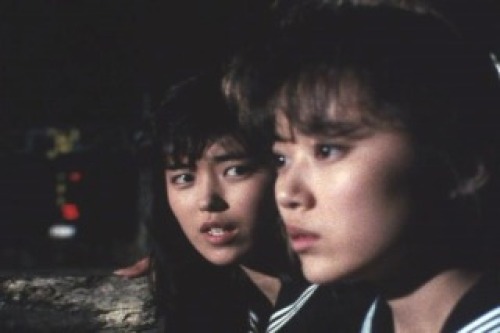 PDVD_009.jpg