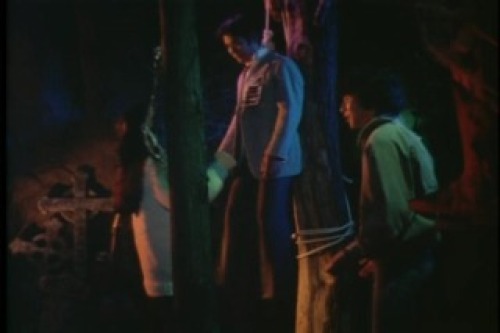 PDVD_037.jpg