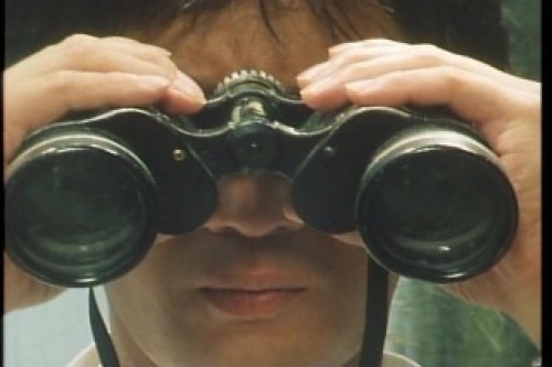 PDVD_013.jpg