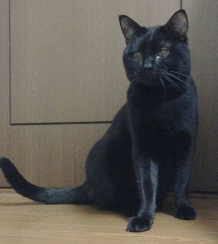 今日のチャンプ.jpg