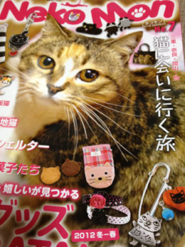 NekoMon7.jpg