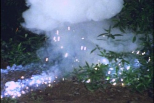 PDVD_013.jpg