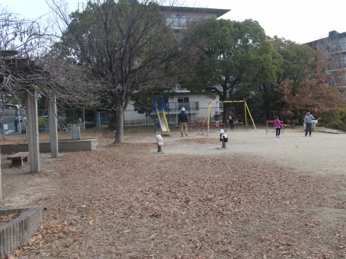 CIMG9061.JPG